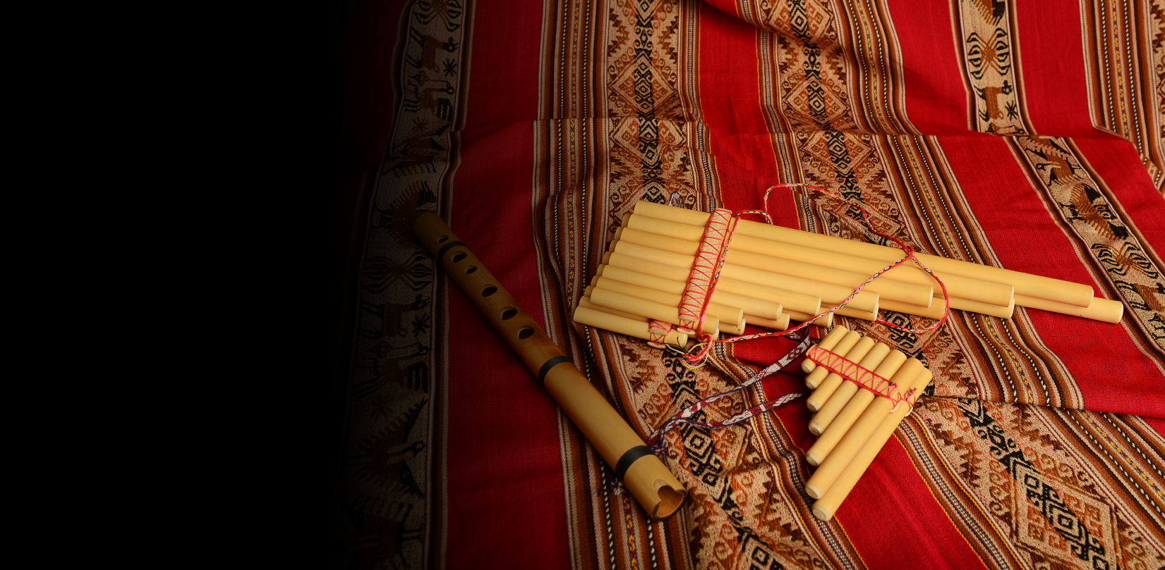 Concierto Cantando a la Memoria Sin Tiempo