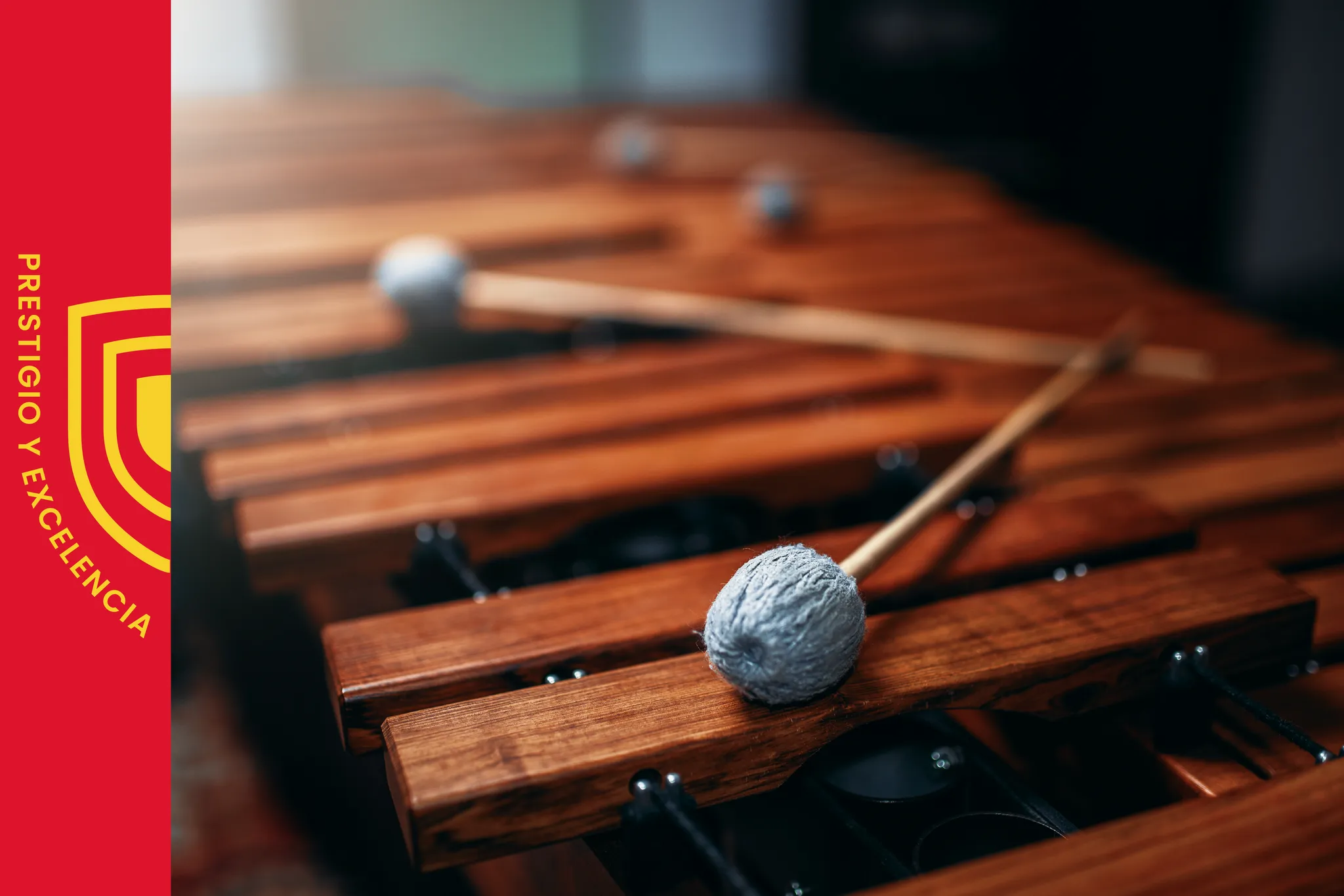 Concierto de gala: XI Festival Internacional de Vibráfono y Marimba «Vibraciones»
