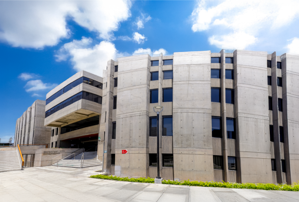 lid-fotografia-panoramica