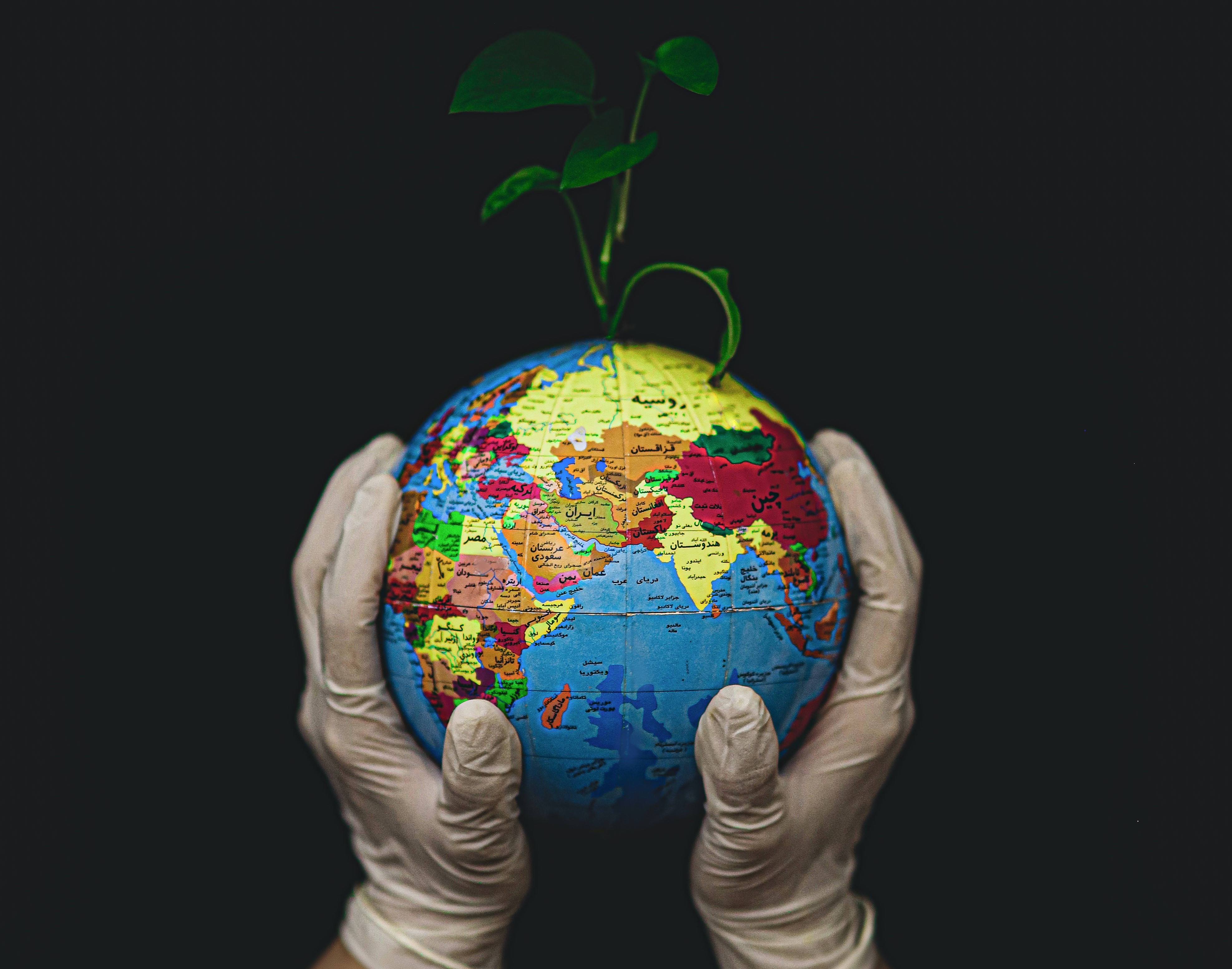 Activación por el Día del Planeta