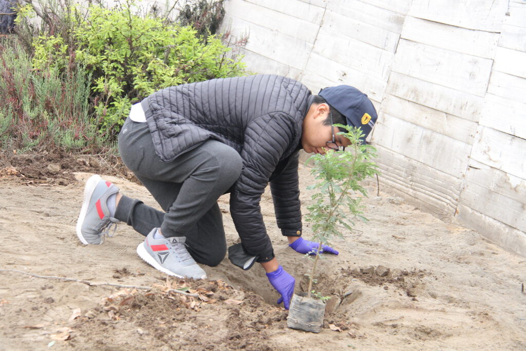 52451345253_685675a340_k