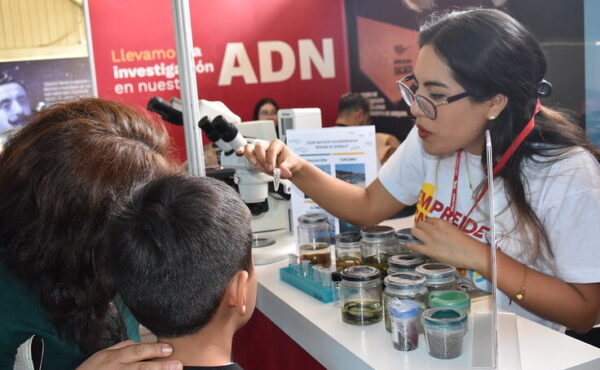 53456278694_532c4c3b26_c-e1729271854770